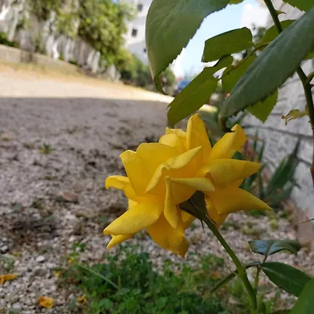 Alojamento de Acomodação e Pequeno-almoço Era 3*