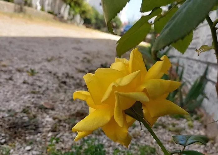 Bed & Breakfast Era 3*